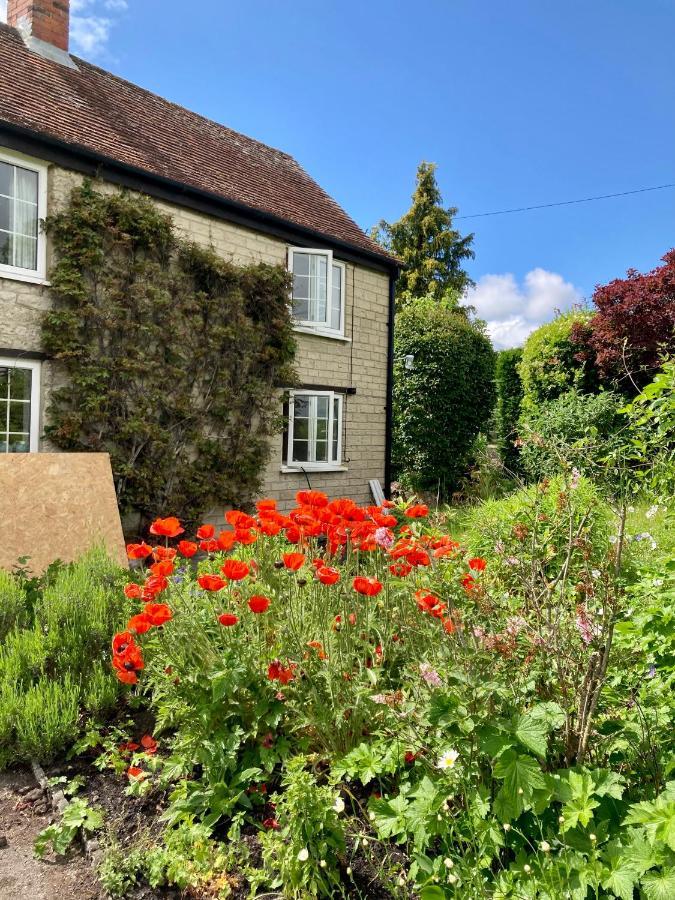 Charming Modernized Country Cottage Near Mere, Wiltshire Mere  Ngoại thất bức ảnh