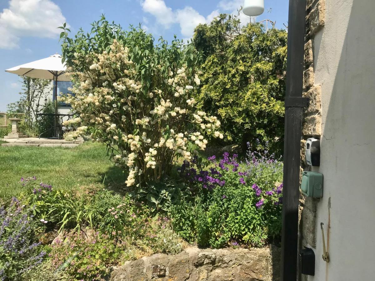 Charming Modernized Country Cottage Near Mere, Wiltshire Mere  Ngoại thất bức ảnh